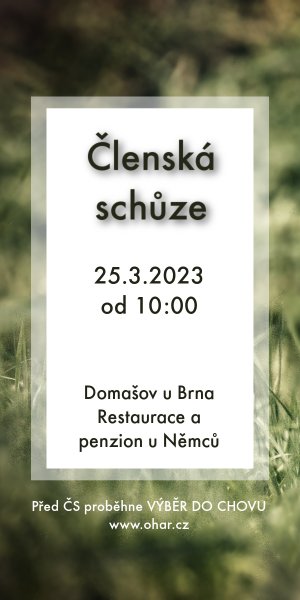 Pozvánka na Členskou schůzi