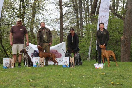 Výsledky NFT Nivnice 28.-29.4.2023