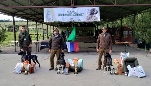 Výsledky Memoriál Kolomana Slimáka