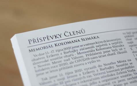 Žádost o příspěvek za reprezentaci klubu