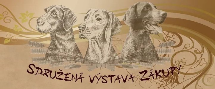 Pozvánka - Sdružená výstava Zákupy