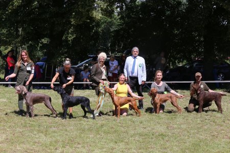Výsledky Klubová výstava Náměšť na Hané 15. 6. 2024