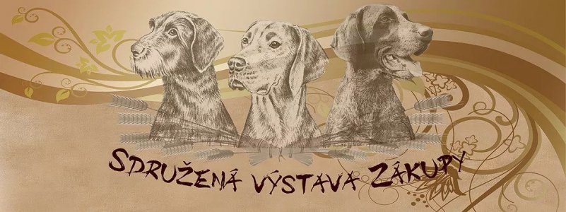 POZVÁNKA NA AKCI - SVP ZÁKUPY