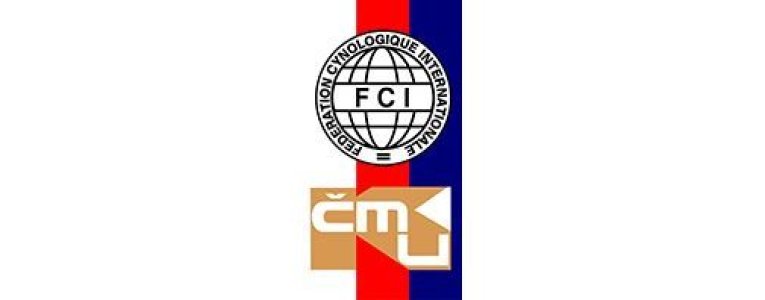 Dotazník Mediální komise ČMKU