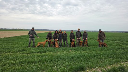 Výsledky - NFT Štěpánov  11.-12. 4. 2026