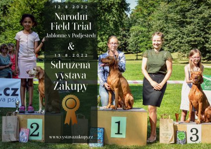 Pozvánka NFT Jablonné + Sdružená výstava Zákupy