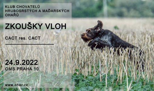 Pozvánka - klubové zkoušky vloh